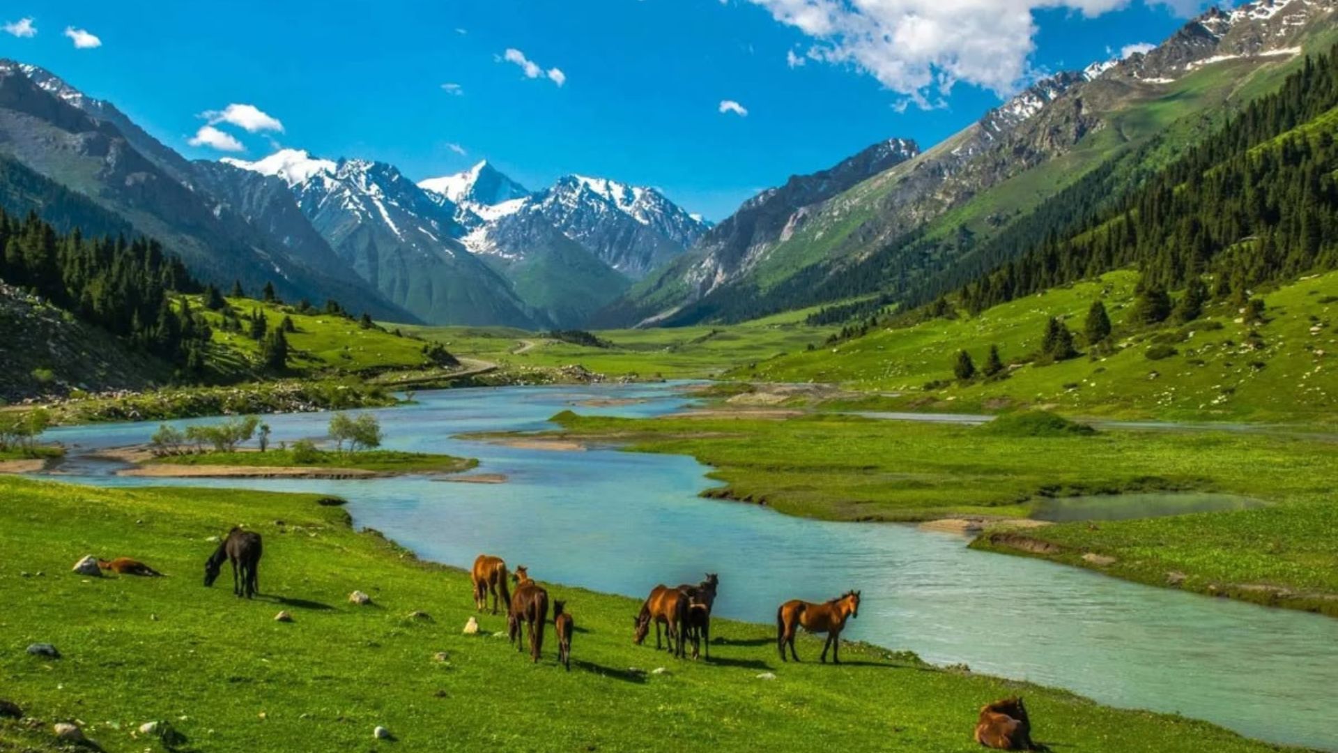 Fox Glacier – Thiên đường của những người yêu thiên nhiên