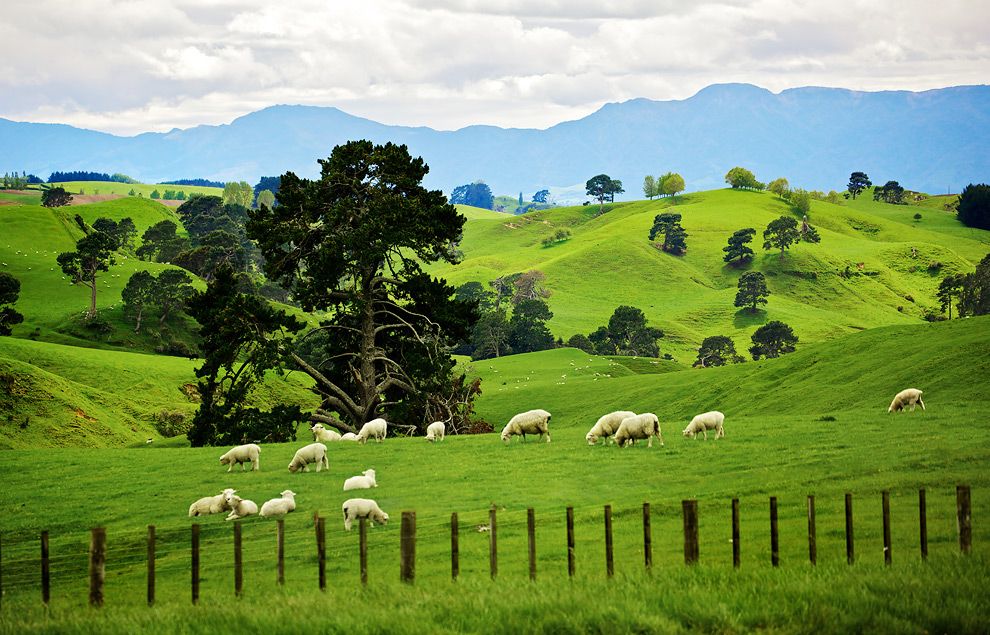 Stewart Island – Vùng đất hoang sơ cuối cùng