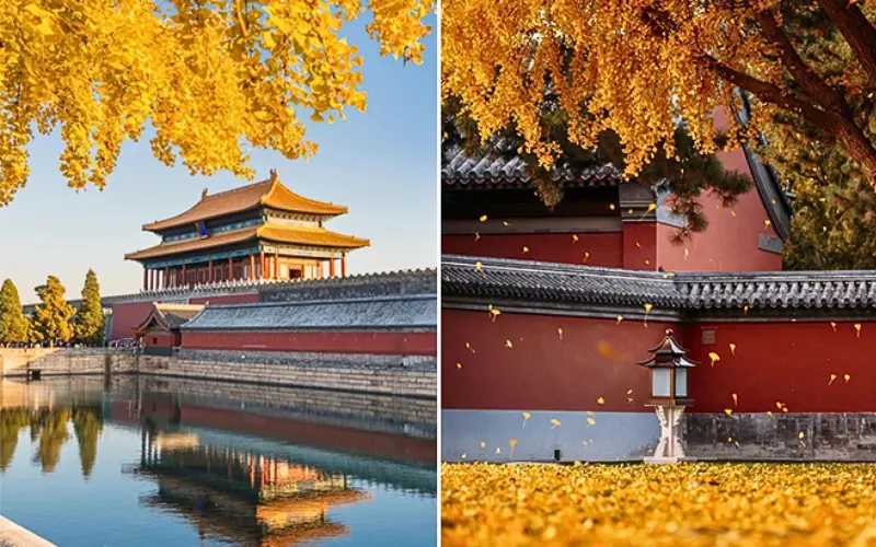 Thời điểm đẹp nhất để đi tour Bắc Kinh - Thượng Hải mùa thu du lịch nội địa trung quốc