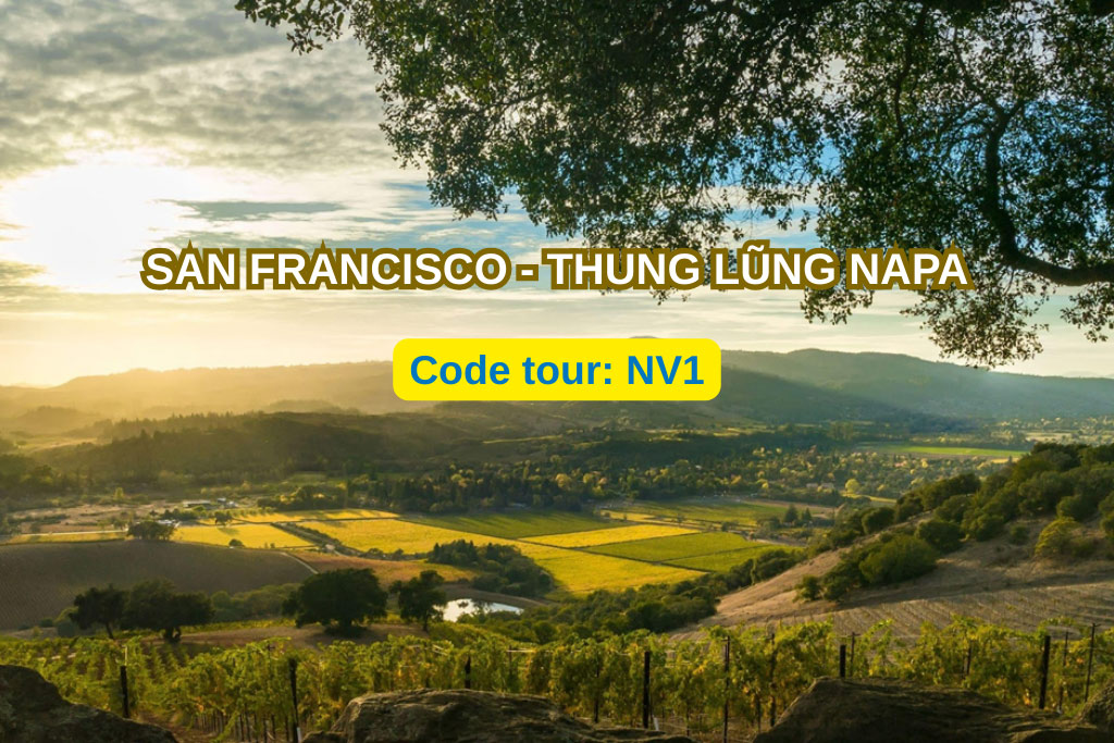 NV1  CHƯƠNG TRÌNH DU LỊCH BỜ TÂY HOA KỲ SAN FRANCISCO - THUNG LŨNG NAPA