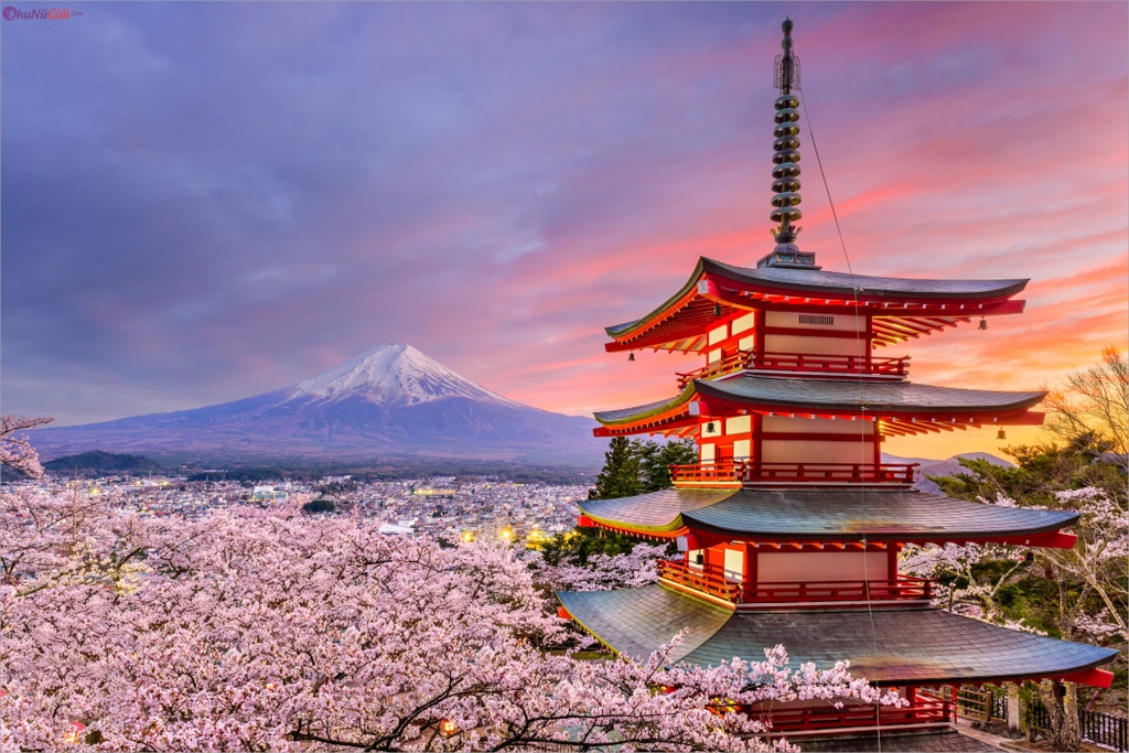 TOUR NHẬT BẢN CUNG ĐƯỜNG VÀNG 6N5D: OSAKA - KYOTO - NAGOYA - PHÚ SĨ - TOKYO