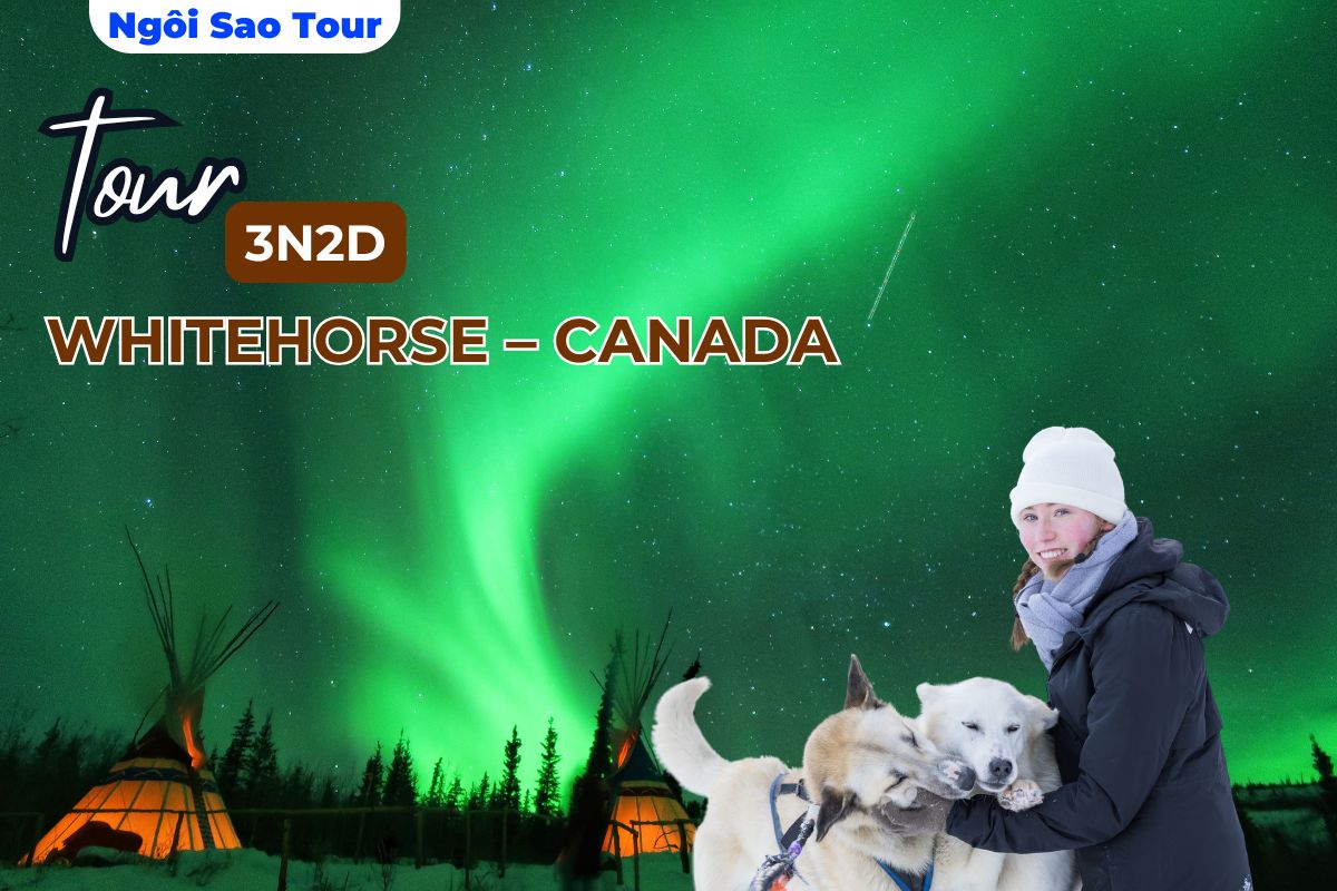 TOUR NỘI ĐỊA CANADA H3*: SĂN CỰC QUANG TẠI WHITEHORSE 3N2Đ