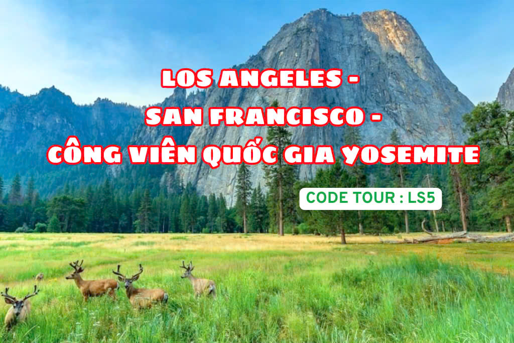 LS5 LOS ANGELES - SAN FRANCISCO – CÔNG VIÊN QUỐC GIA YOSEMITE