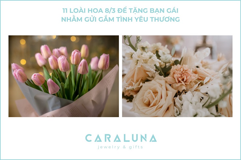 11 Loài hoa 8/3 để tặng bạn gái nhằm gửi gắm tình yêu thương