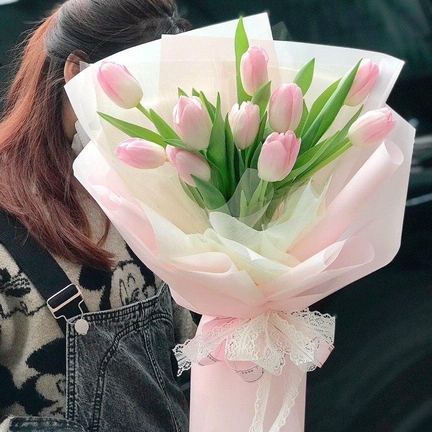 Hoa tulip tuy đơn giản nhưng ý nghĩa