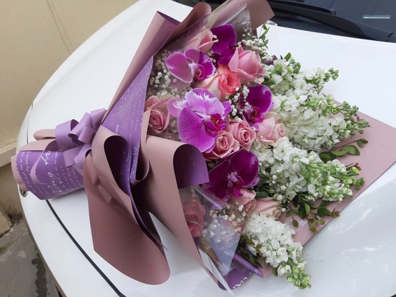 Chân lan hồ điệp tặng người yêu