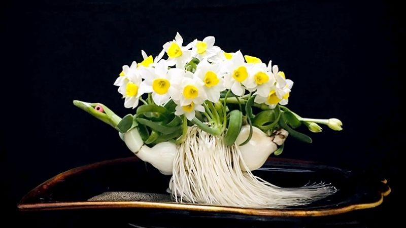 Hoa Thuỷ Tiên - Hoa tặng sinh nhật người yêu sinh tháng 3