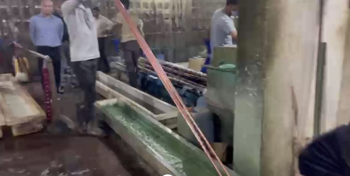 Ngâm rửa cọc