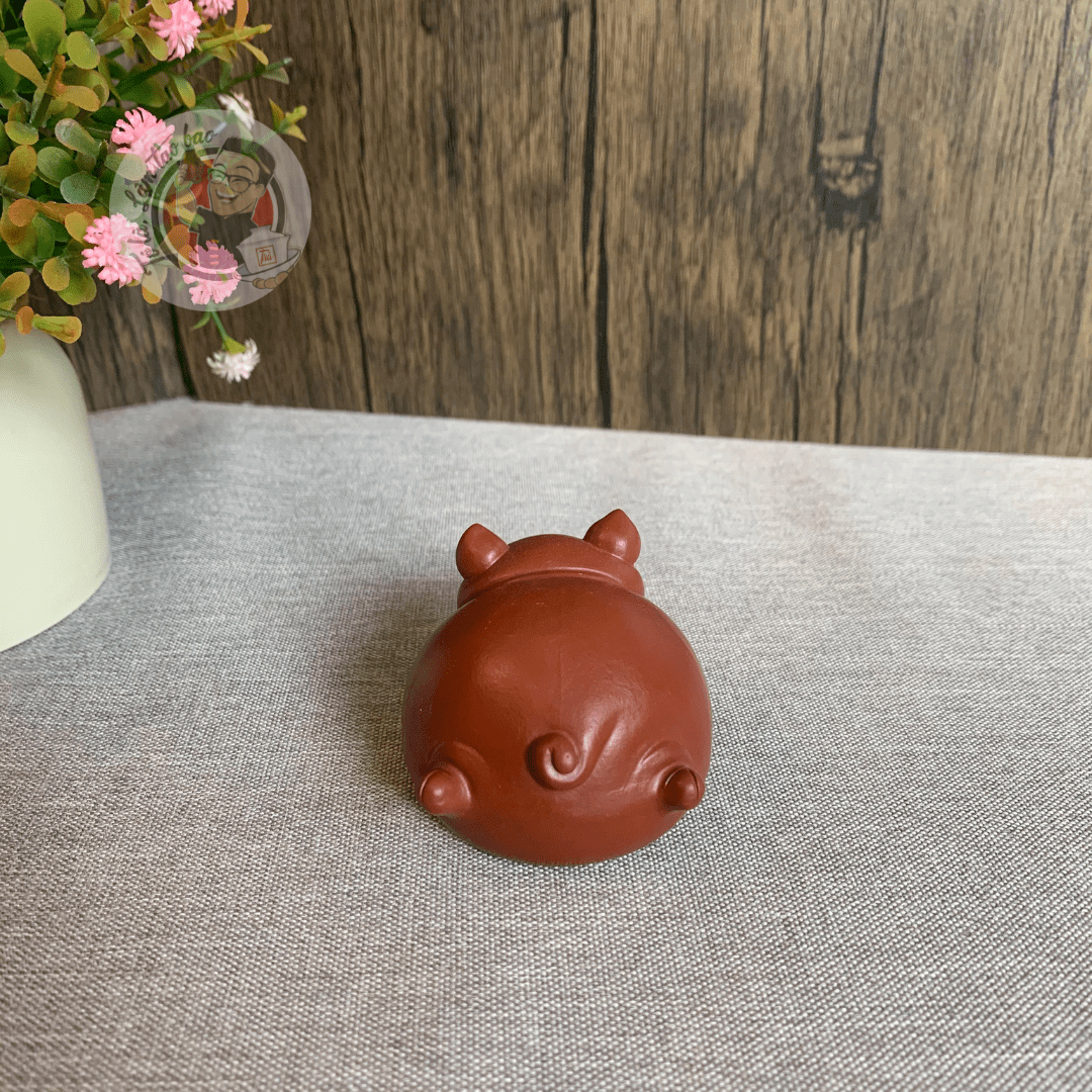 Pet tử sa lợn bay