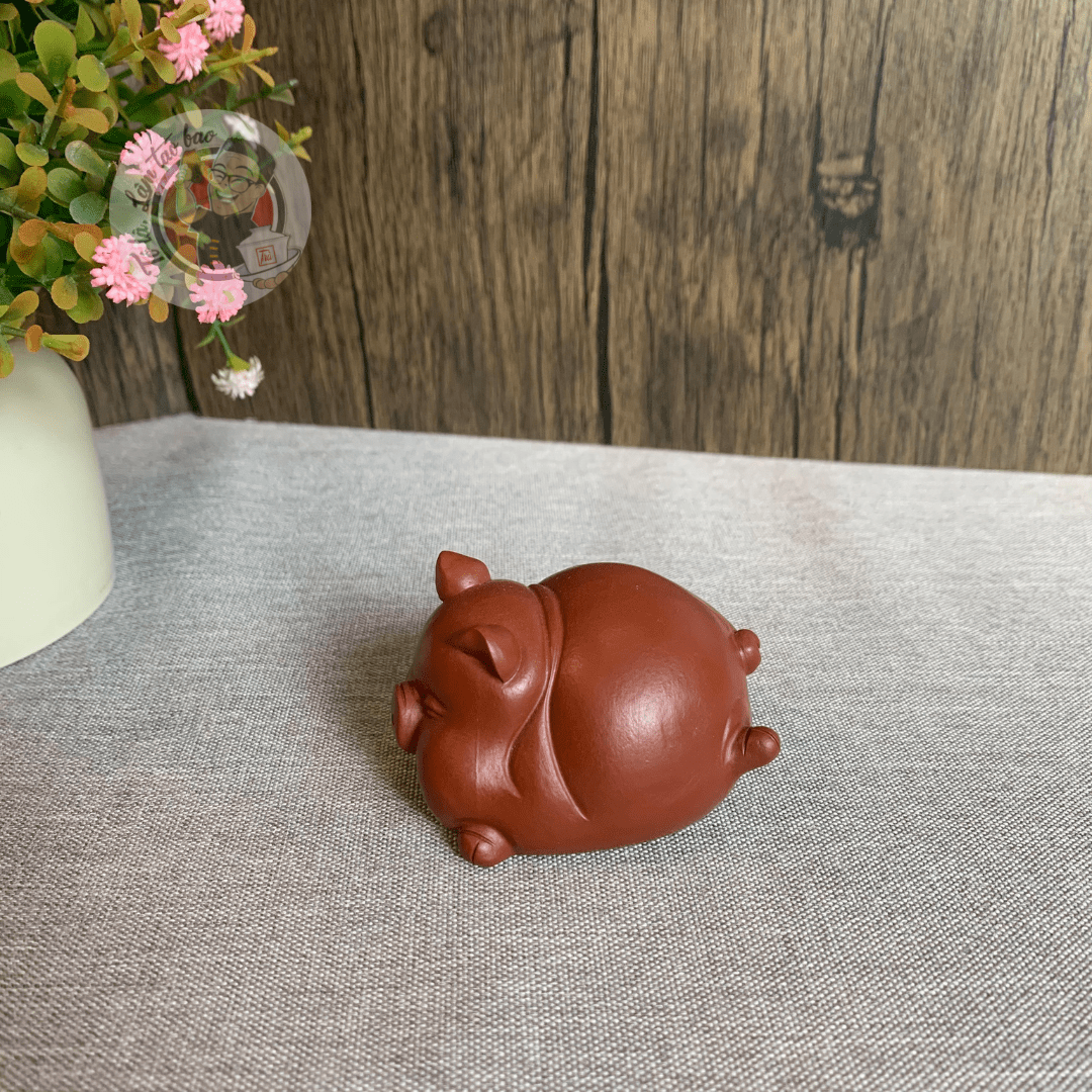 Pet tử sa lợn bay