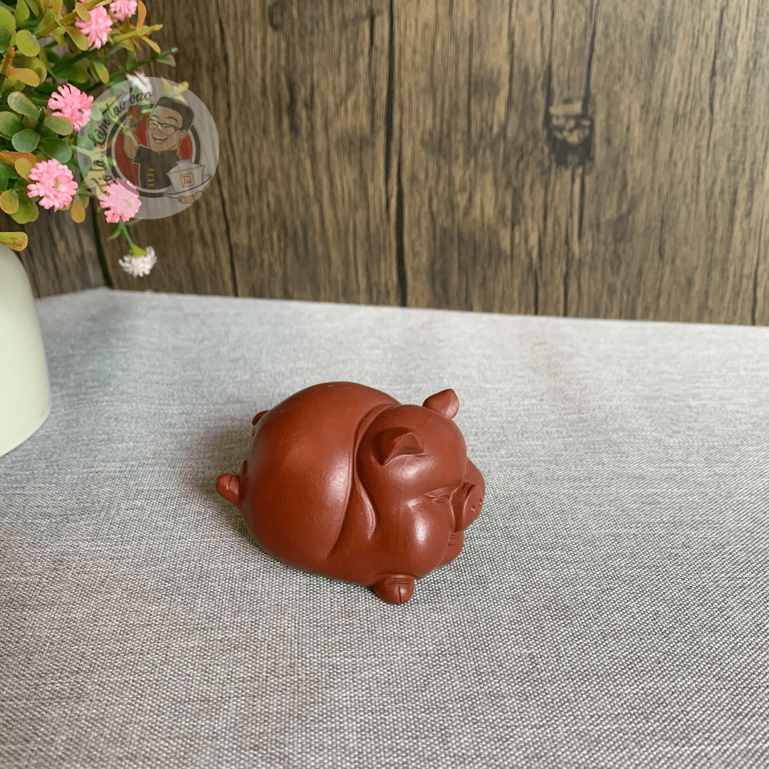 Pet tử sa lợn bay