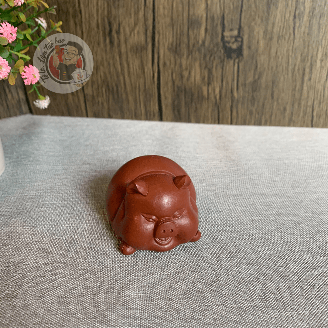 Pet tử sa lợn bay