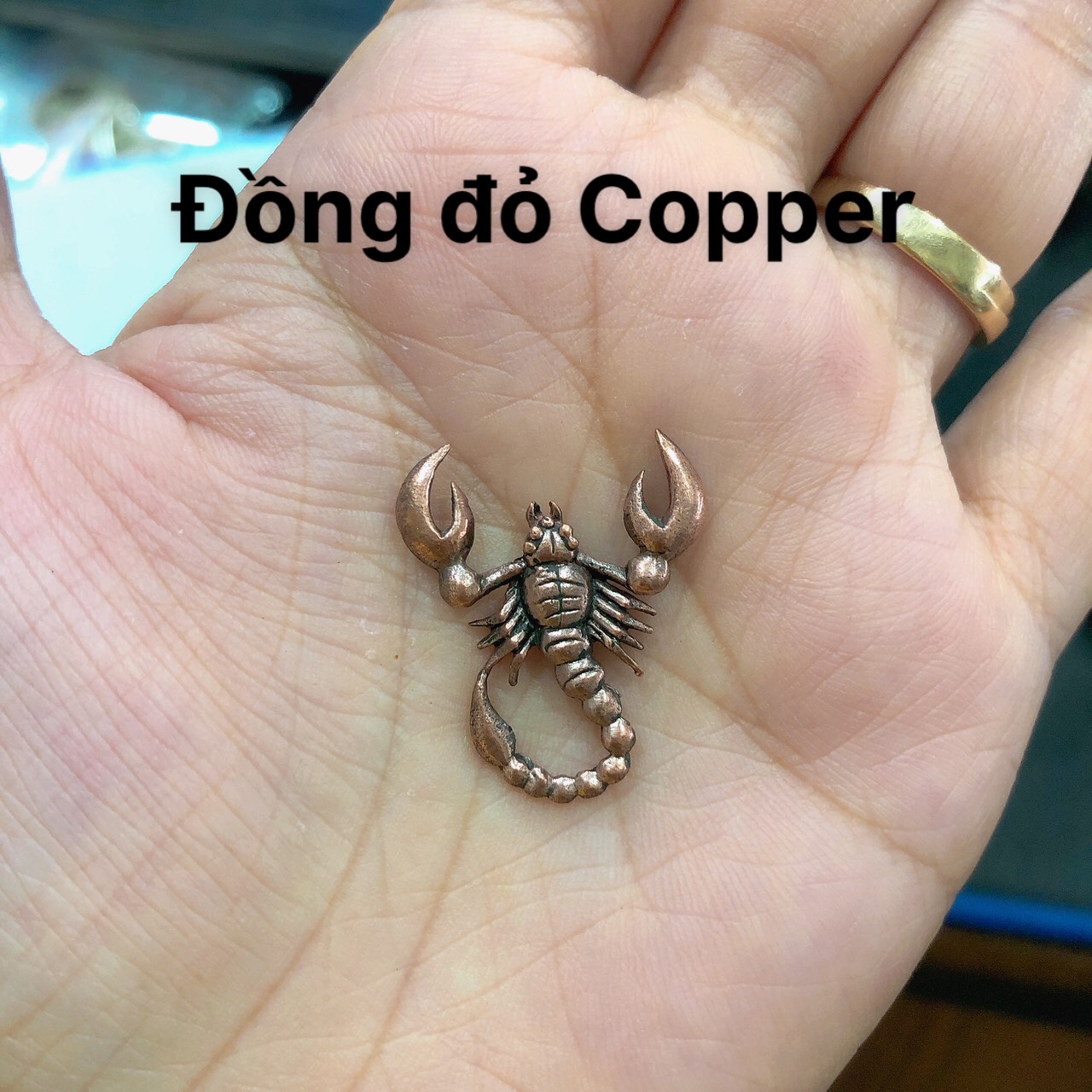 Eblem Zippo Mỹ chủ đề Bò Cạp, Chuẩn Zin Solid Brass đồng thau nguyên chất, và đồng đỏ Copper