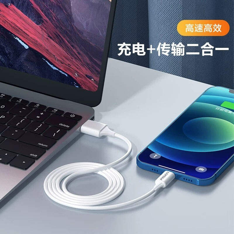 Dây sạc Pisen hai đầu Type C mạ vàng ( LH-TC03-1200) công suất 100W, hàng chính hãng nội địa bảo hành 12 tháng