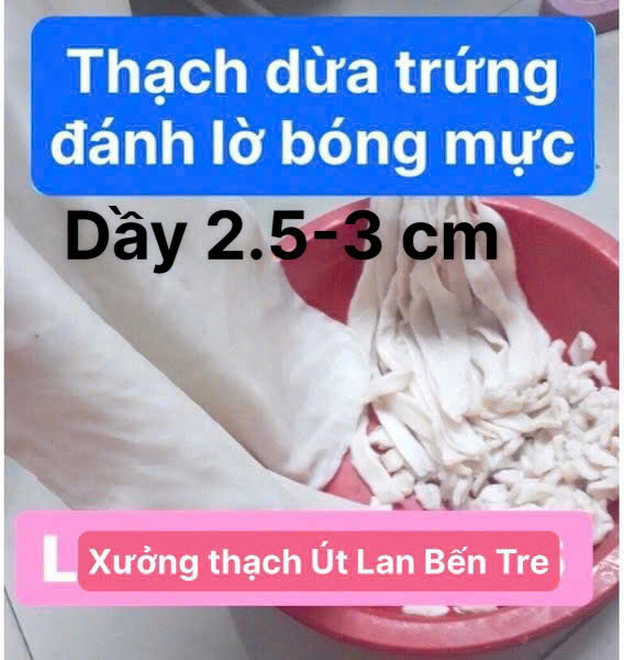 Thạch dừa thô nguyên tấm Size tiêu chuẩn xuất khẩu 1 kg (3 tấm 33x25, dầy 4.5 cm ) dùng nấu chè, trà sữa, mồi câu mực lá