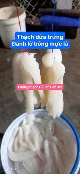 Thạch dừa thô nguyên tấm Size tiêu chuẩn xuất khẩu 1 kg (3 tấm 33x25, dầy 4.5 cm ) dùng nấu chè, trà sữa, mồi câu mực lá