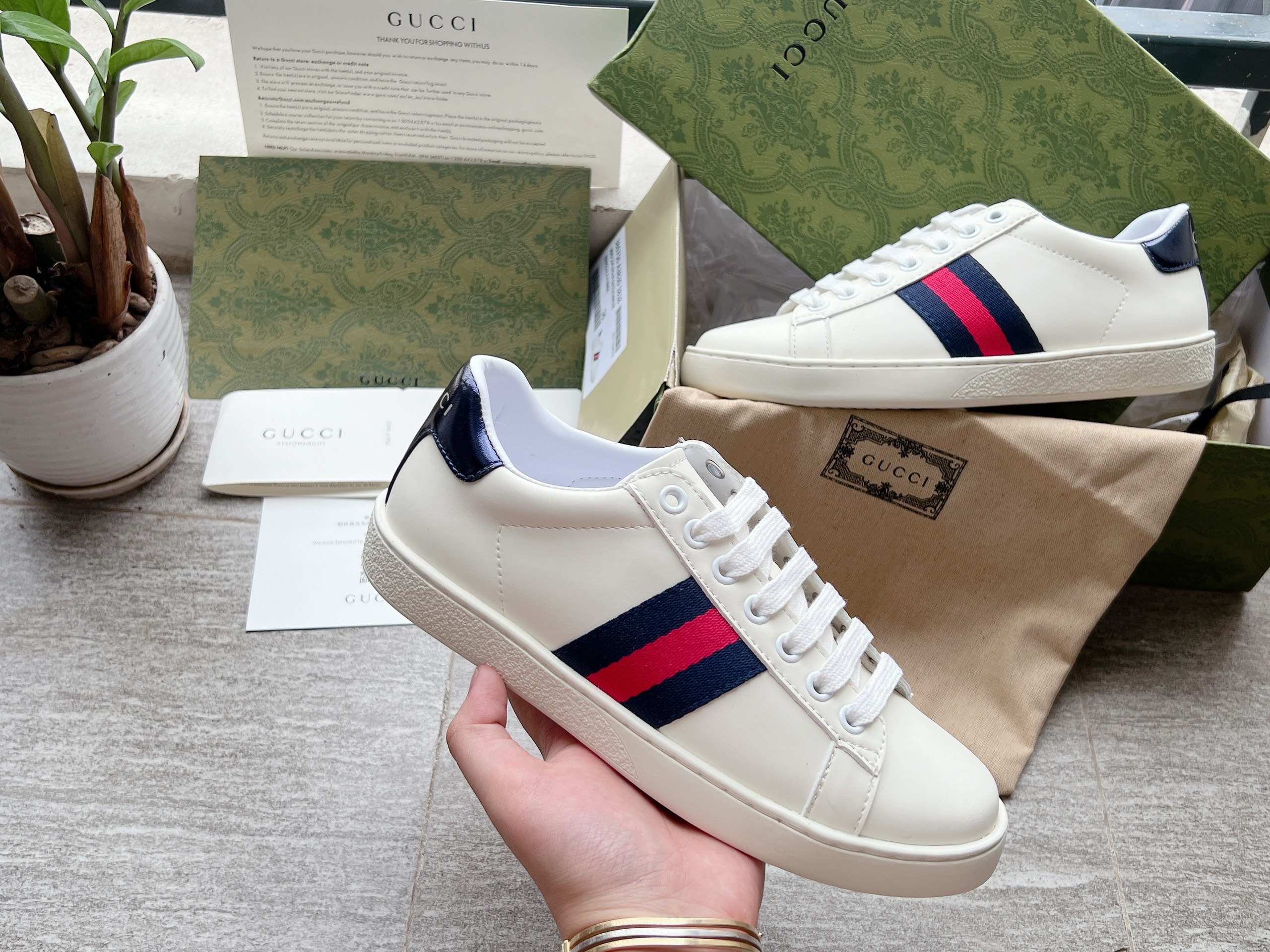 GUCCI ACE TRƠN sale
