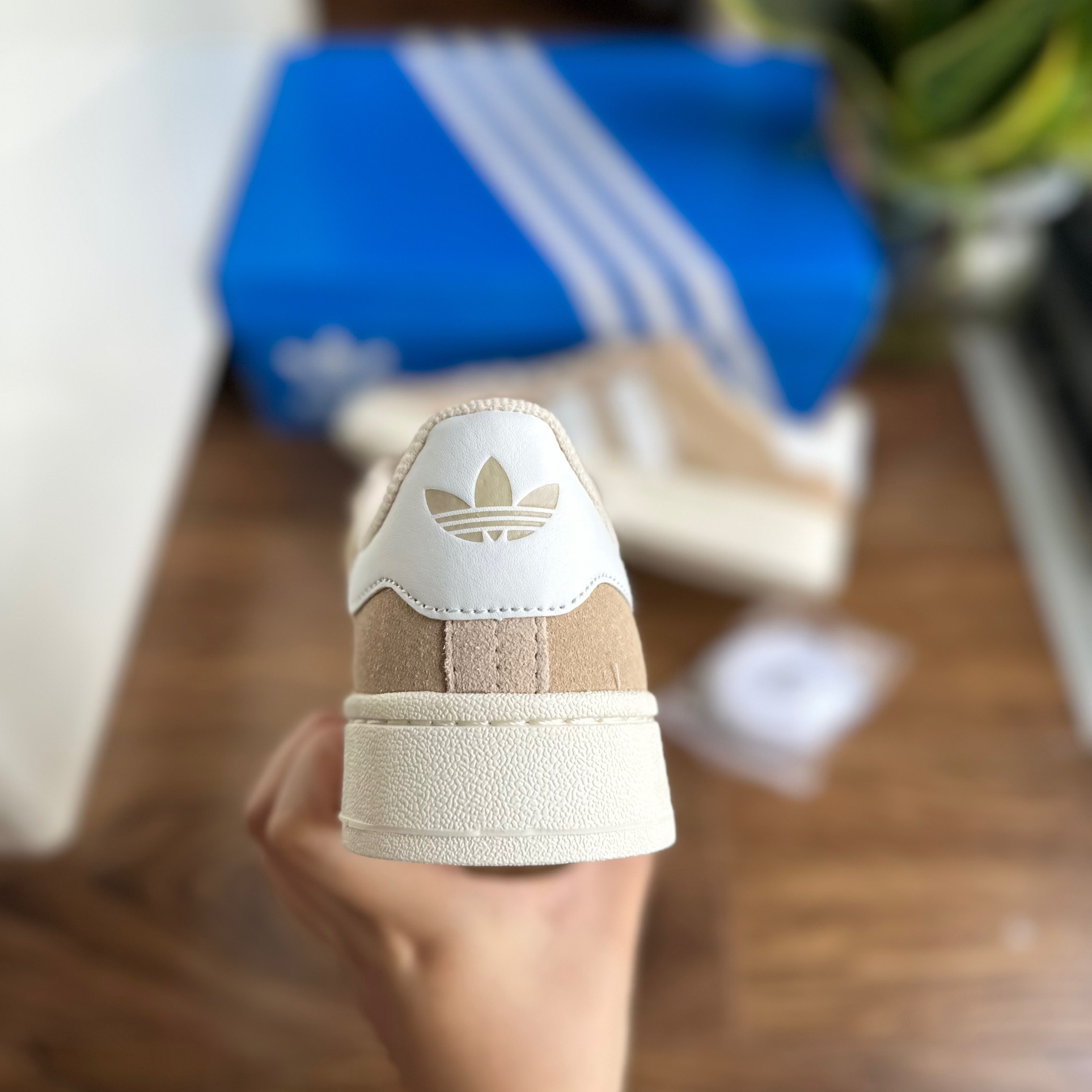 campus trắng kem SALE