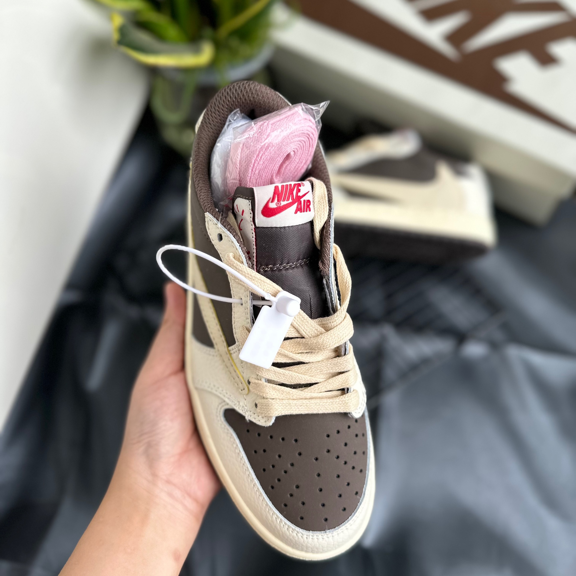 jd travis mocha thấp
