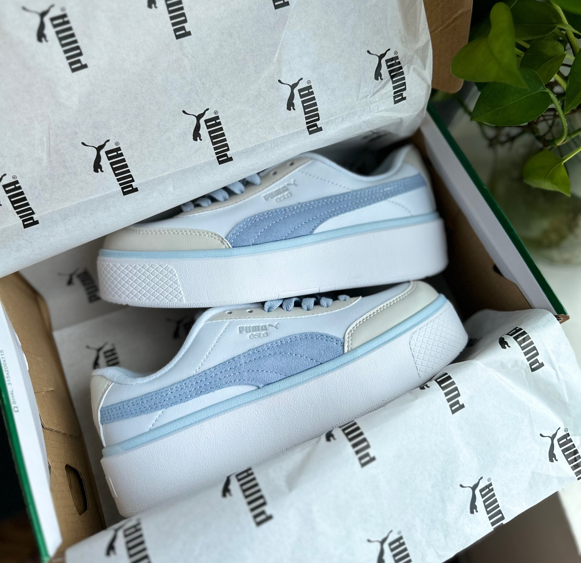 puma oslo xanh
