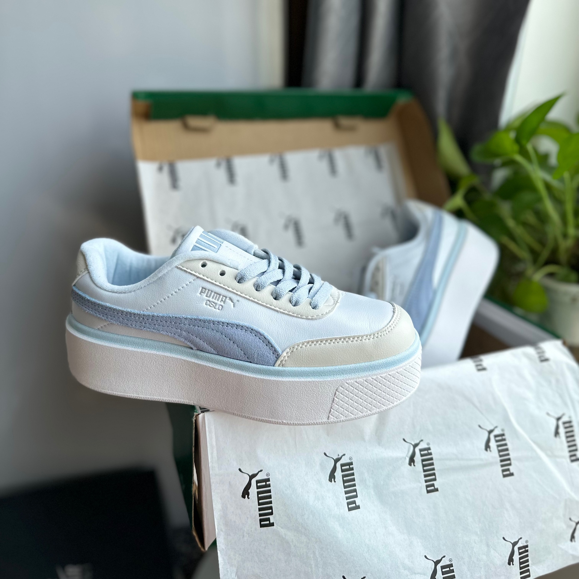 puma oslo xanh