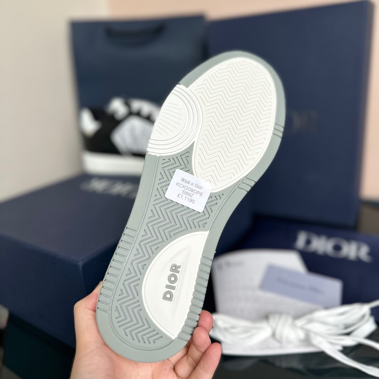 dior B27 đen