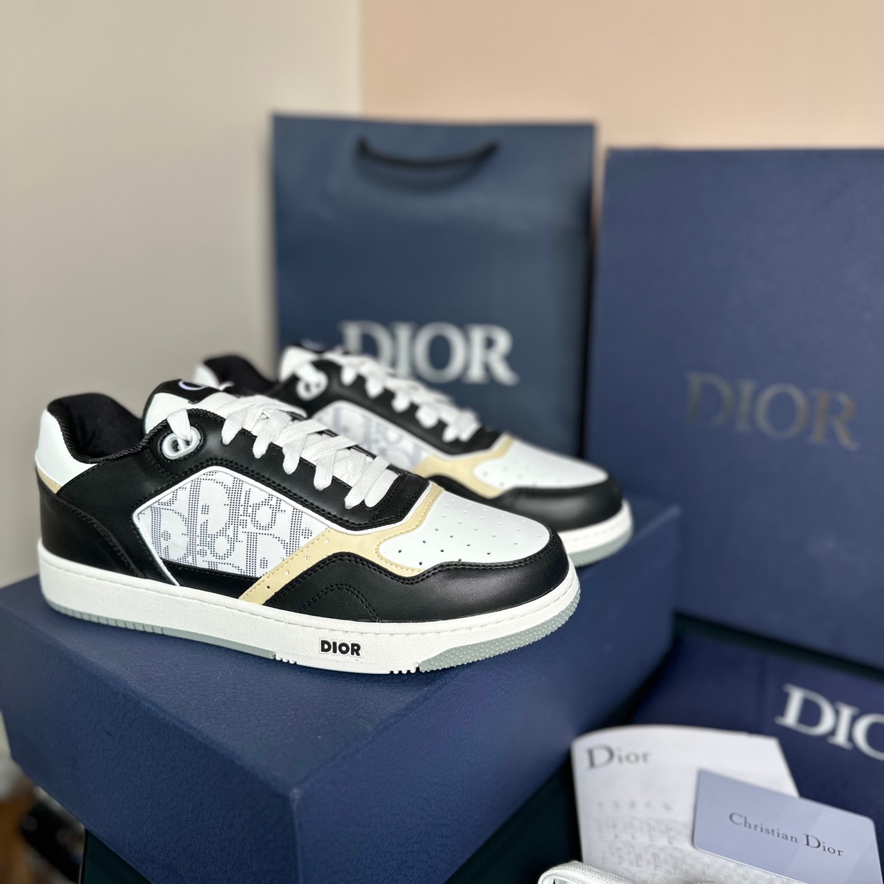 dior B27 đen