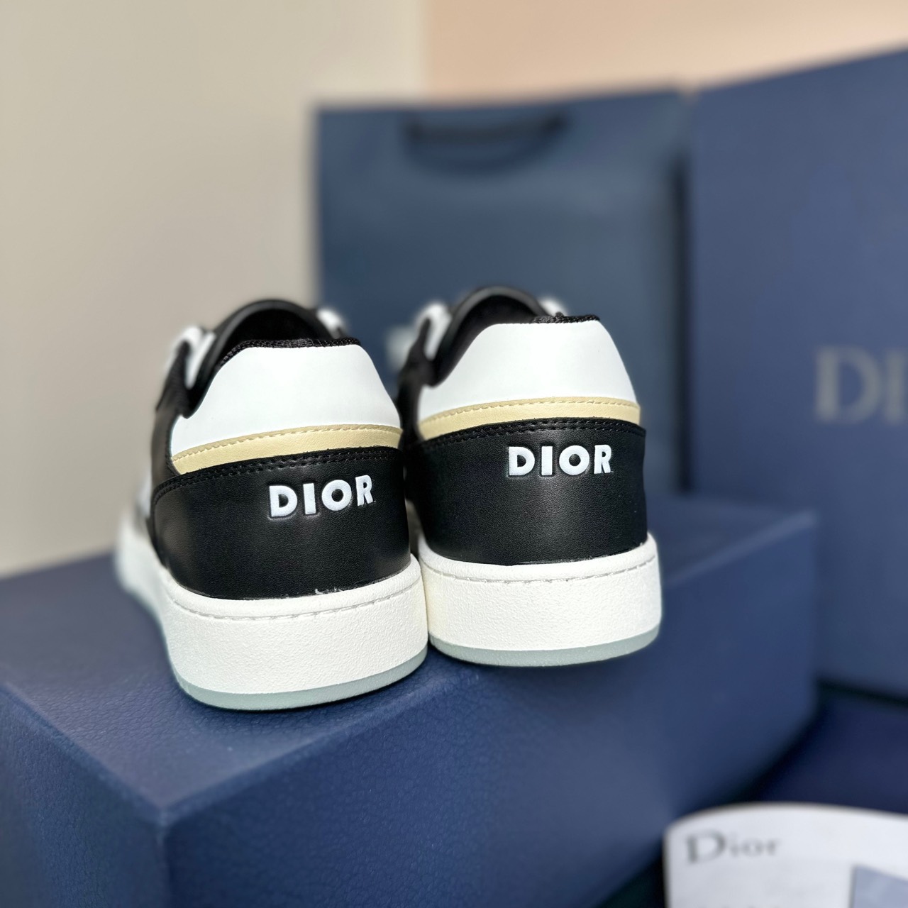 dior B27 đen