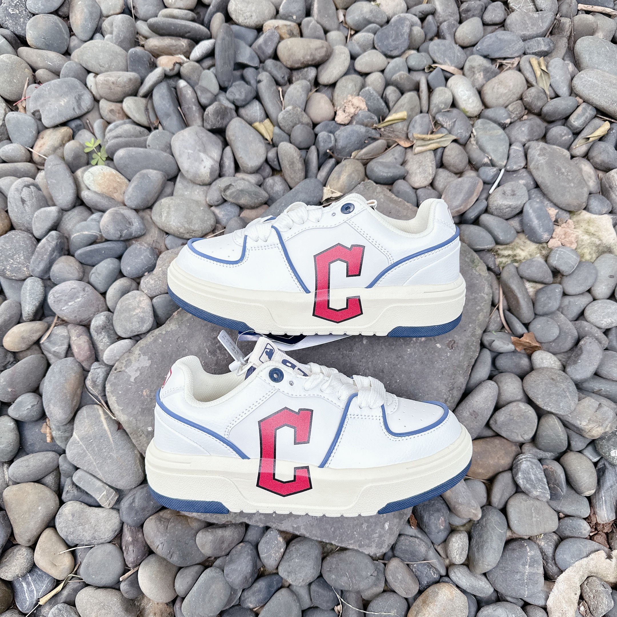 mlb liner chữ C SALE