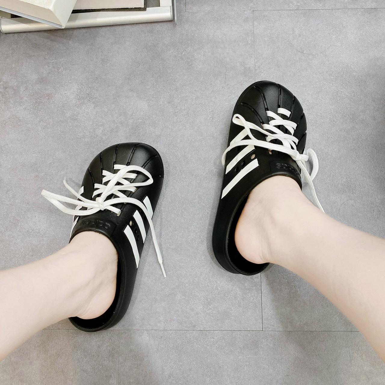 sục sò das đen sale