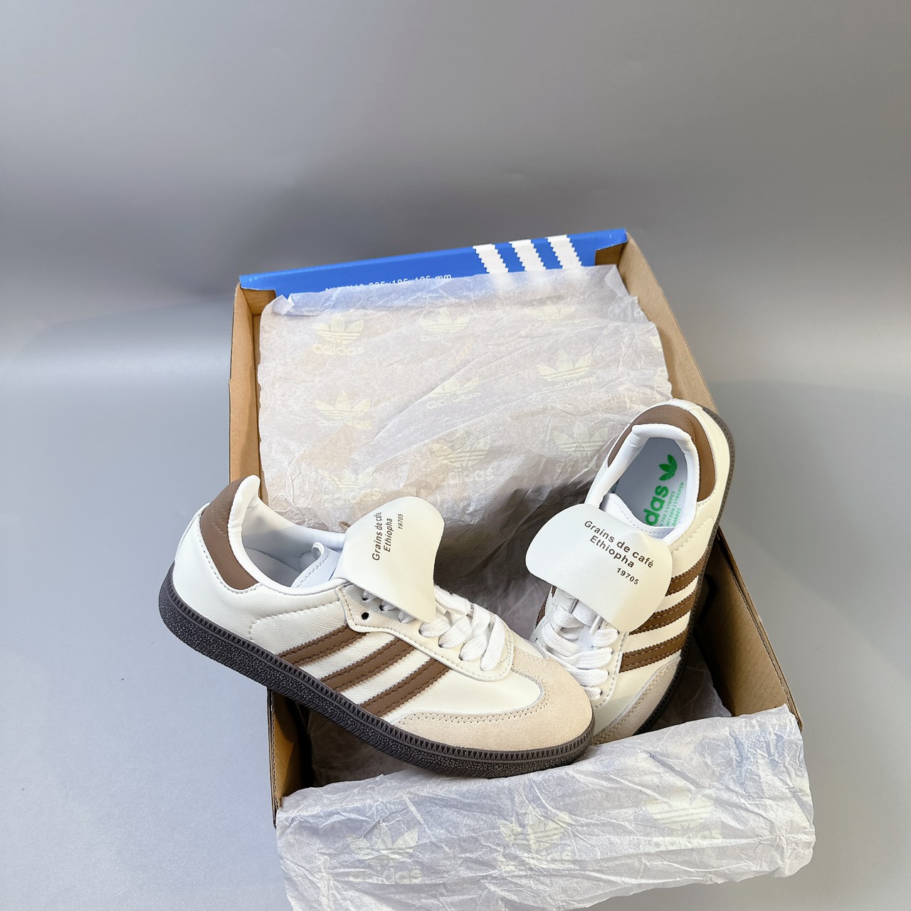 samba cafe ( trắng nâu)