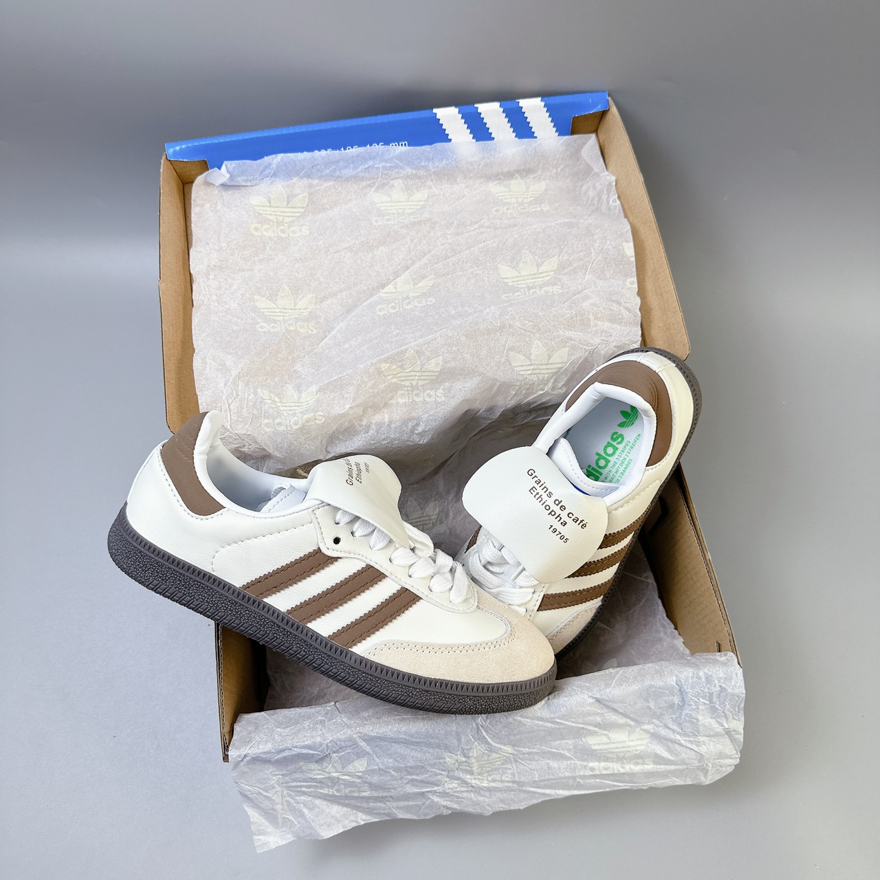 samba cafe ( trắng nâu)