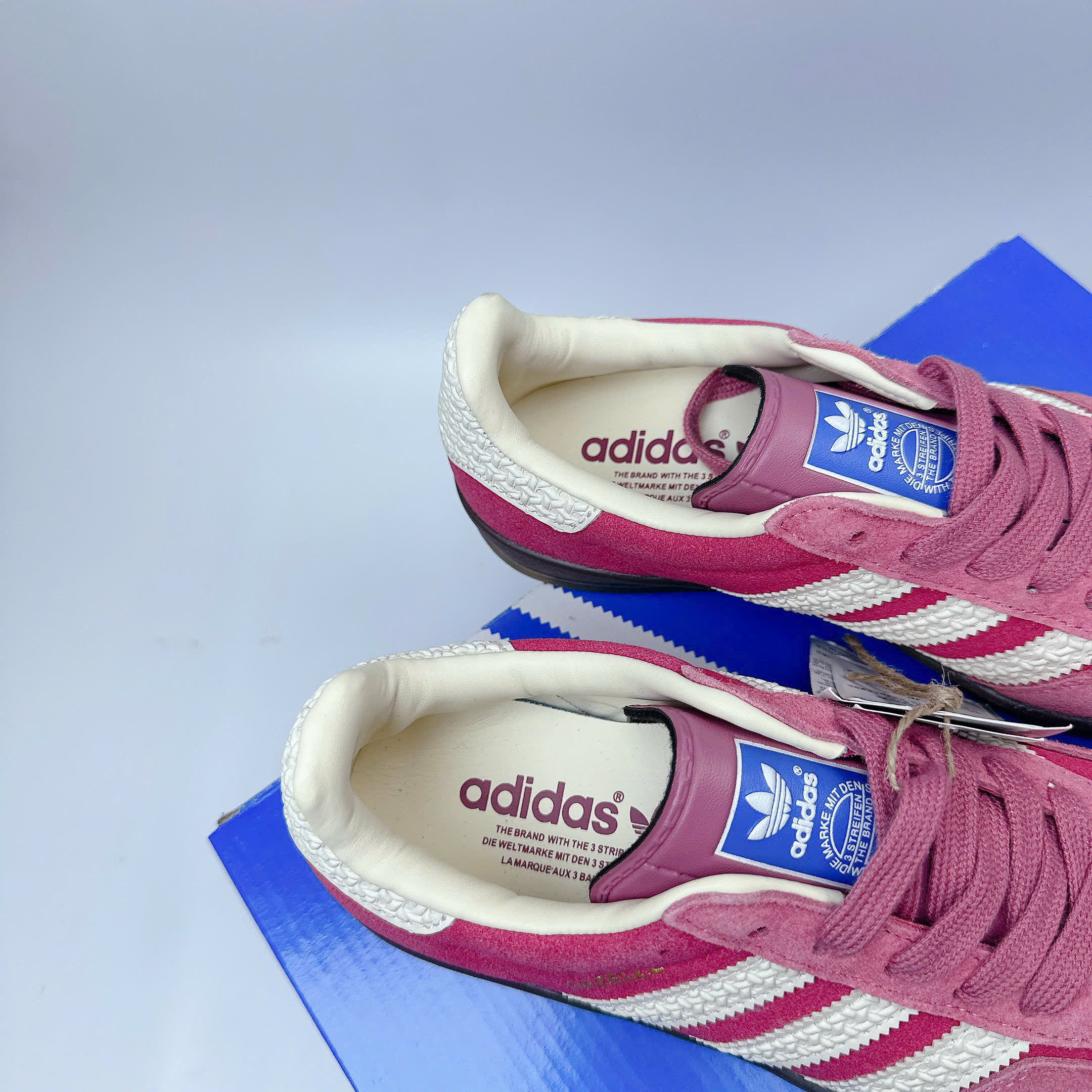 add gazelle hồng