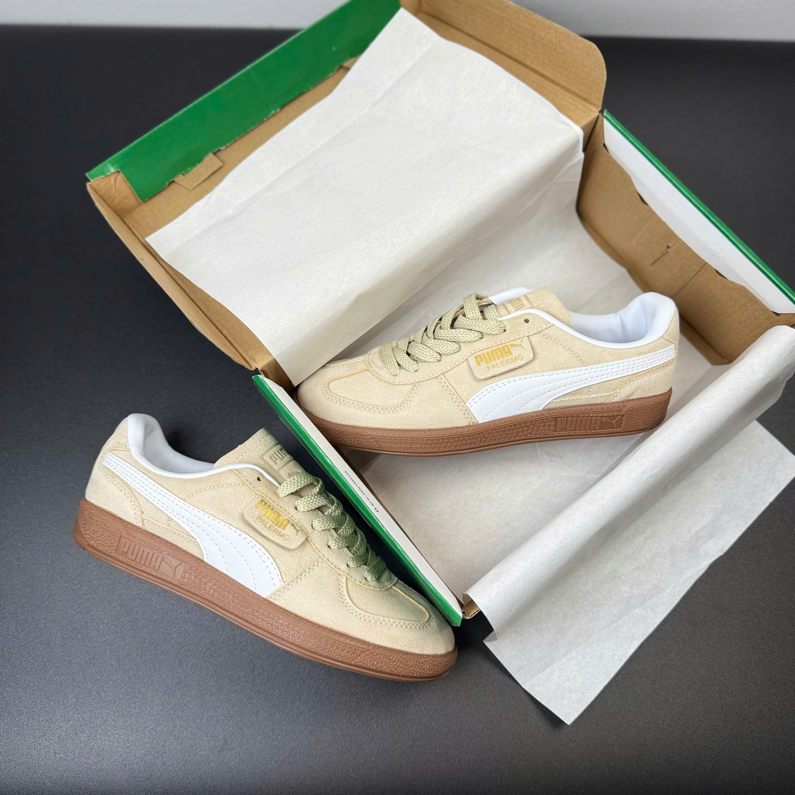 puma palermo be