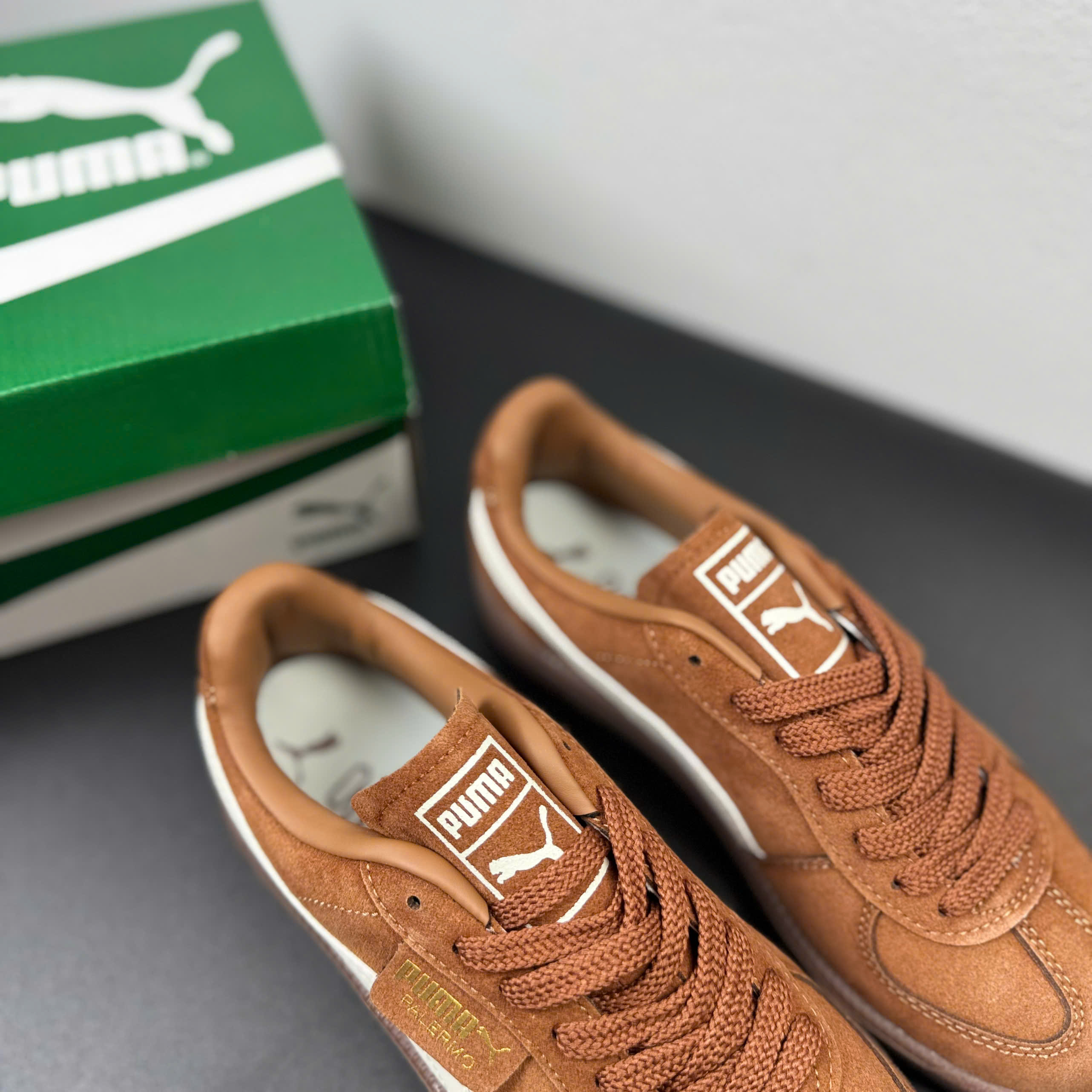 puma palermo nâu