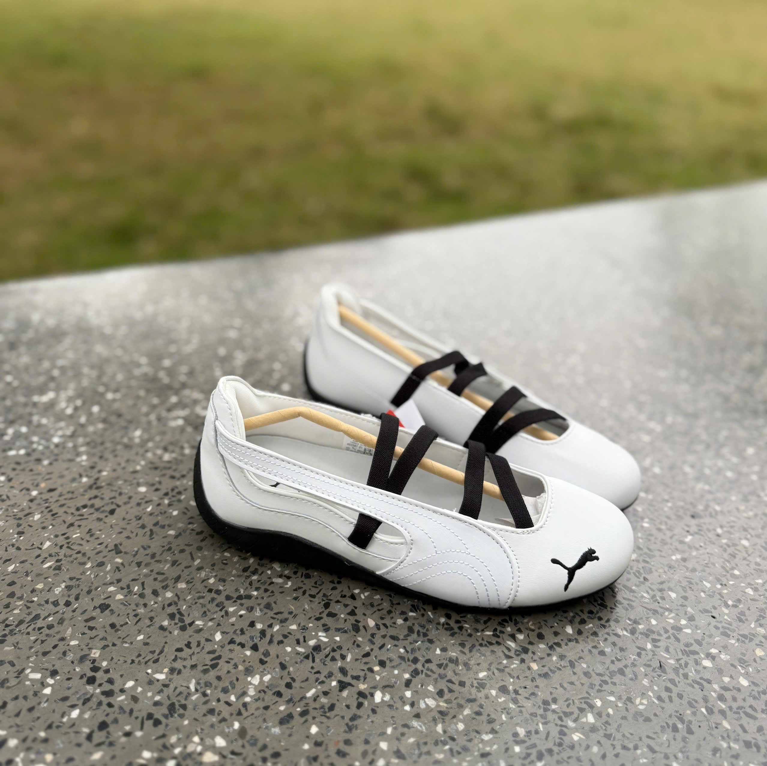 bb puma trắng
