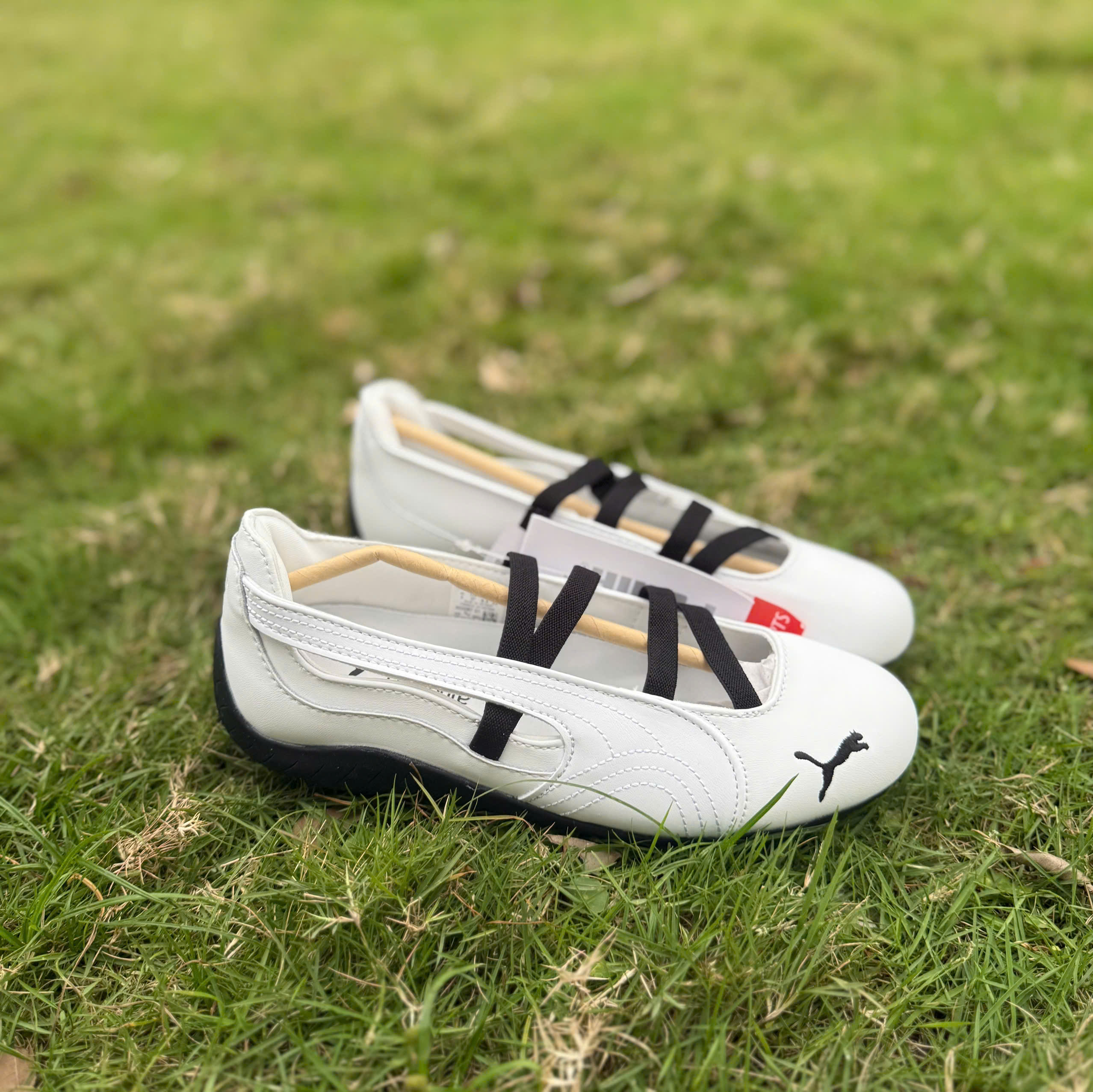 bb puma trắng