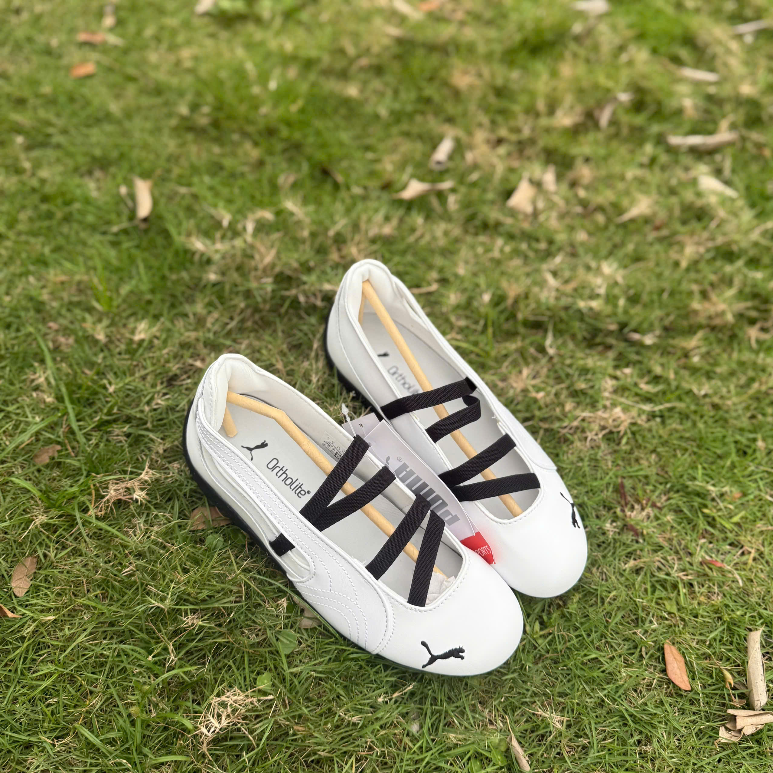 bb puma trắng