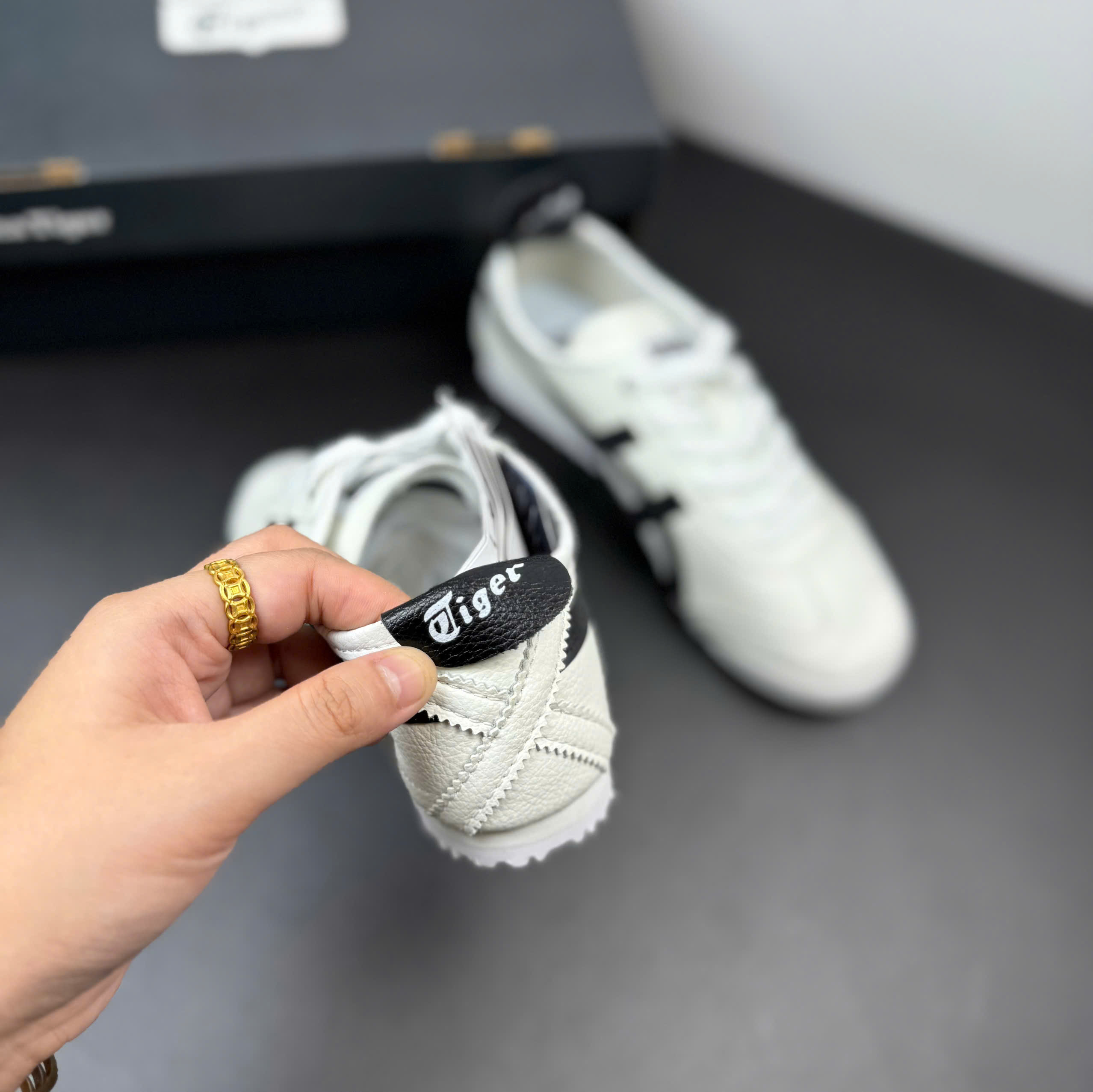 tiger trắng viền đen