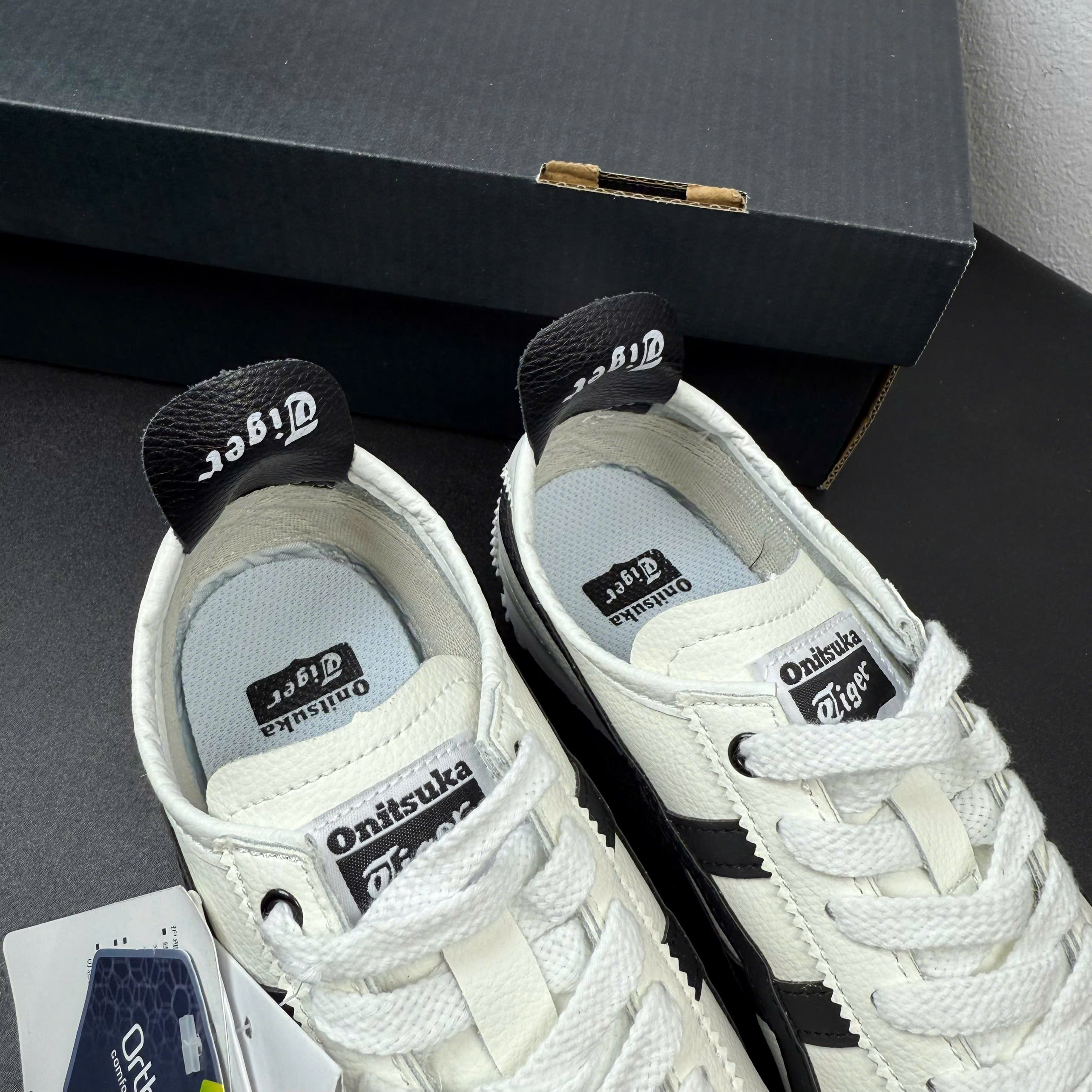 tiger trắng viền đen