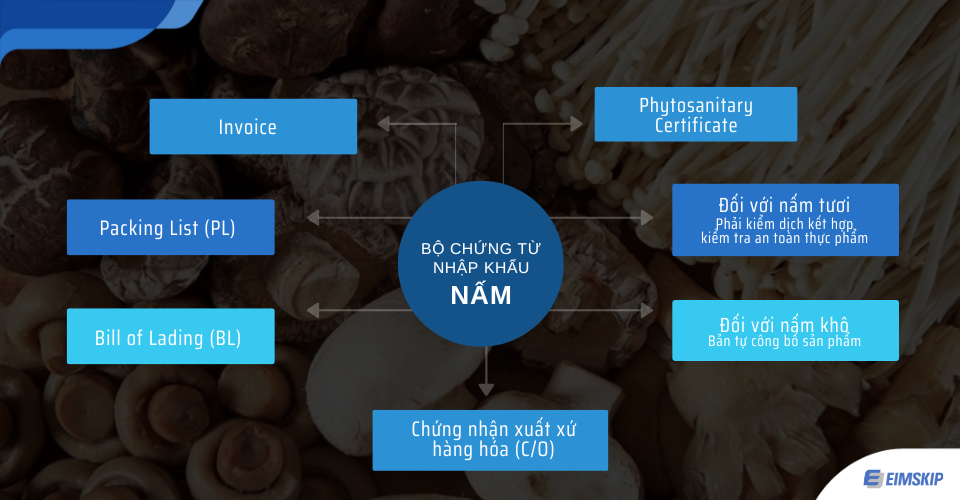 bộ chứng từ nhập khẩu keo nha cai vào Việt Nam