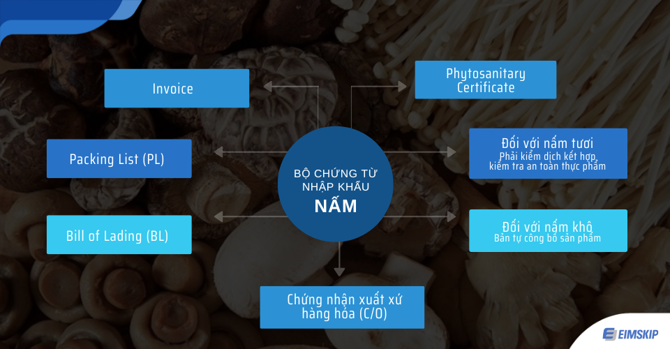 bộ chứng từ nhập khẩu nấm vào Việt Nam