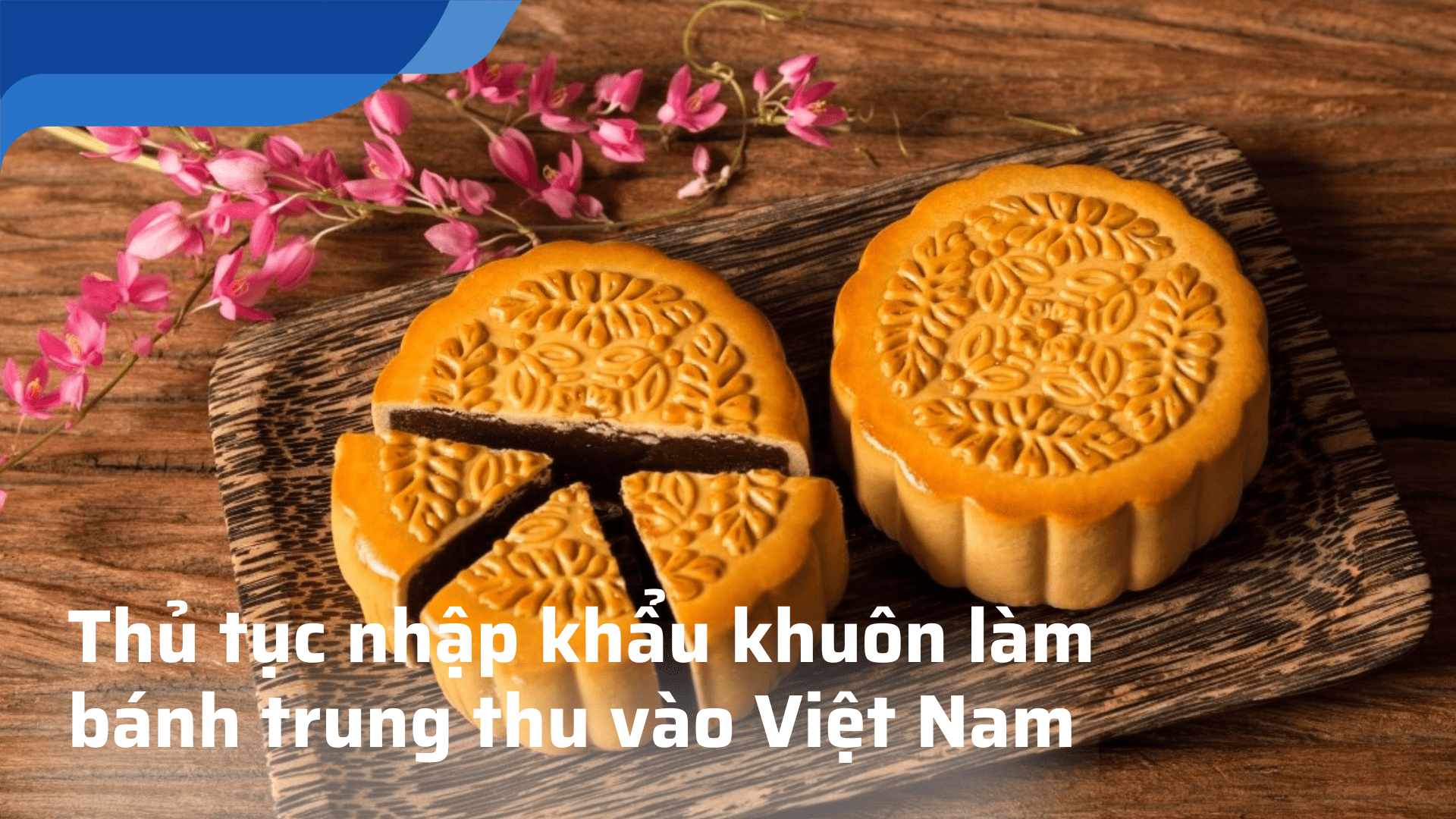 Các thủ tục tỷ lệ kèo tv khuôn làm bánh trung thu vào Việt Nam