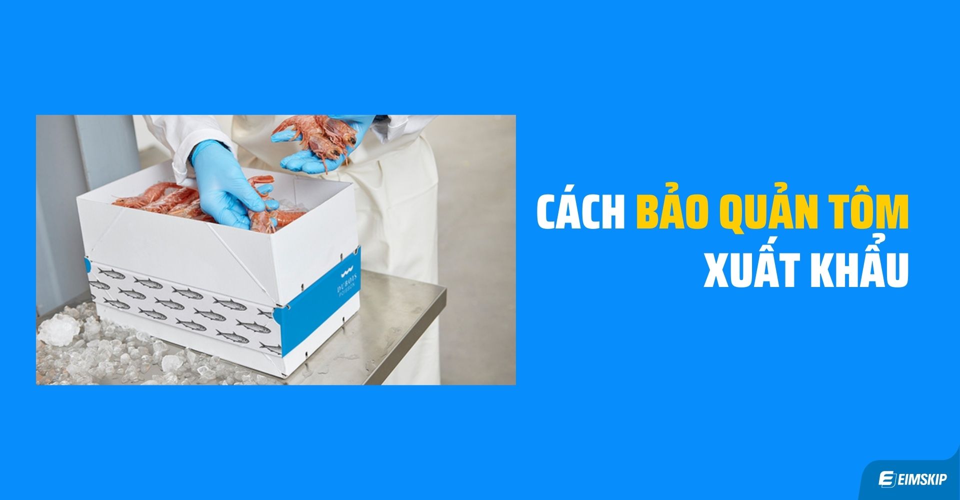  bảo quản tôm đông lạnh