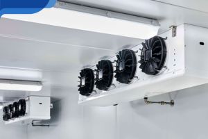 truc tiep keo nha cai Kiểm Soát Nhiệt Độ