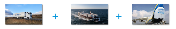 FCL Shipping Service