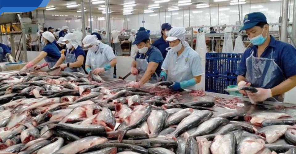 Luật truc tiep keo nha cai quy định về xuất khẩu thủy sản sang Nhật Bản