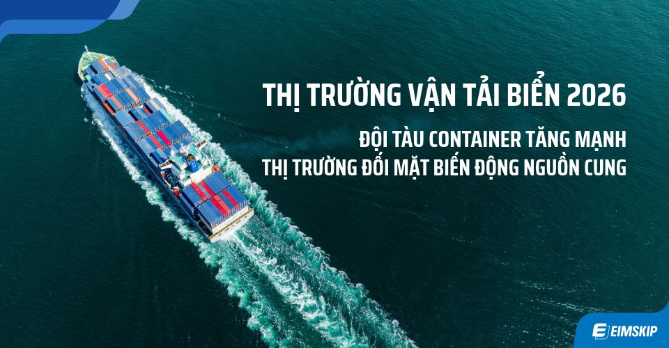 Thị trường vận tải biển 2026