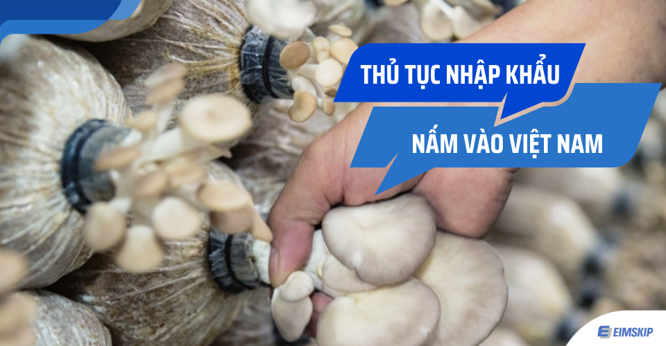 thủ tục nhập khẩu nấm vào Việt Nam