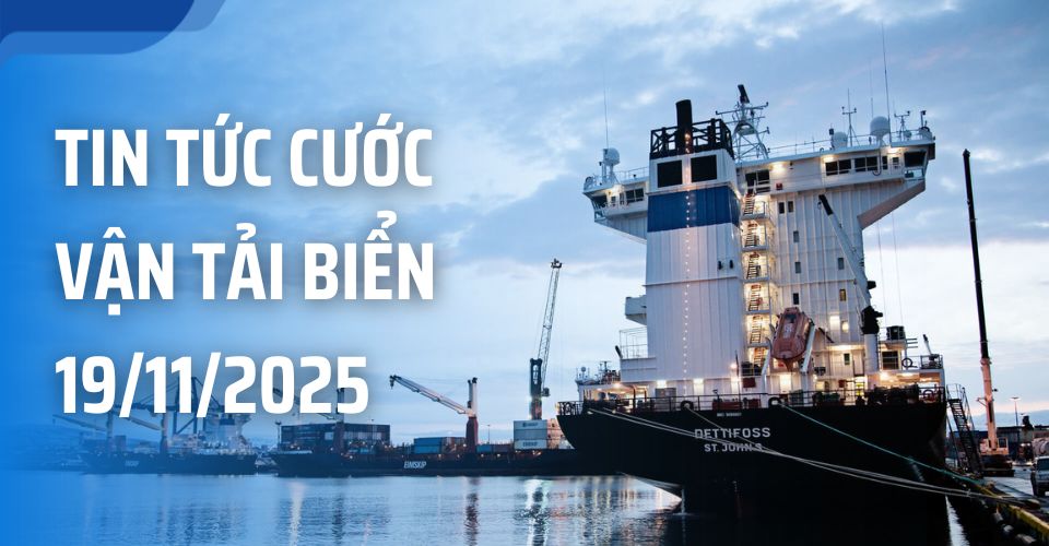 Tin tức cước vận tải biển tuần 18/11/2025